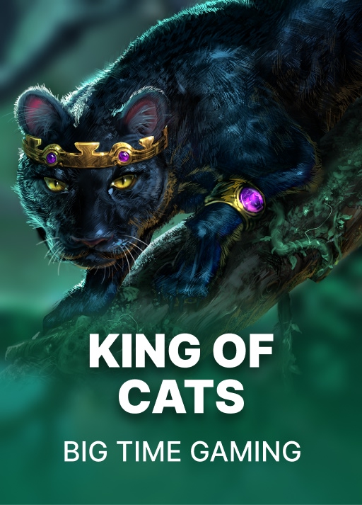 King of Cats