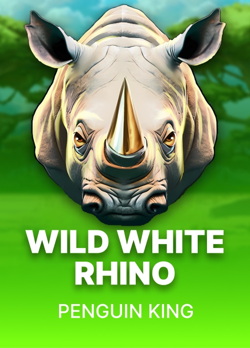 Wild White Rhino